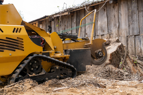 Stump Removal Services Canberra