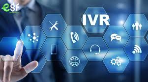 IVR service provider in India